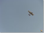 sized_1SI853353.JPG