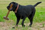 DSC_4196i.jpg