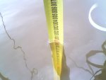 8m_001.jpg
