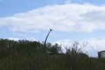 DSC07775_novyj_razmer.JPG