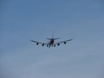 DSC07854.jpg