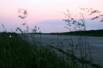 2_007.gif