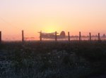 P1010216-1.jpg