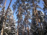 111_015.jpg