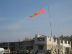 Resize_of_IMG_3389.JPG