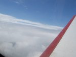 IMG_0176.jpg