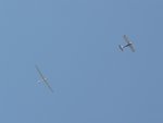 sized_P1000469.JPG