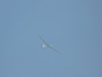 sized_P1000485.JPG
