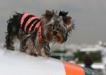 IMG_6630.jpg
