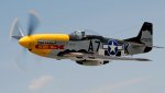 mustang-p51-1.jpg