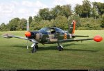 SIAI-Marchetti_SF-260__1.jpg