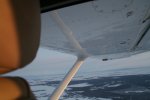 IMG_4141.jpg