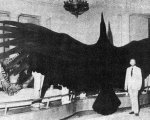 argentavis.jpg