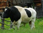 DSCN5408.JPG