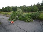 P1040837_.jpg