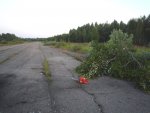 P1040838_.jpg