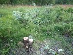 P1040840_.jpg