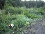 P1040842_.jpg