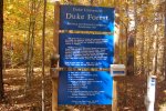 Duke_forest.jpg