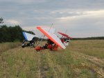 sized_IMG_2801.JPG
