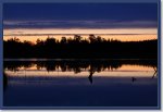 sized_IMG_9710.JPG