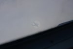 sized_IMG_8595.JPG