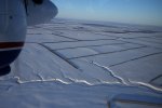 IMG_2206.JPG