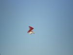 sized_P8010414.JPG