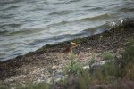 IMG_5834.jpg