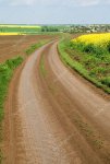 depositphotos_2473669-stock-photo-dirt-road-among-fields.jpg