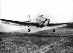 Auster_B-8.jpg