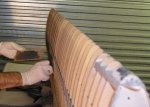 cri_cri_wing1.jpg