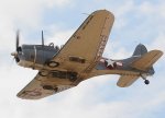 Douglas_SBD__A-24_Banshee_.jpg