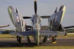 Fairey_Firefly02.jpg