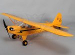 anotherbloodycub-17335.jpg