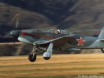 am-yak3_01.jpg