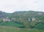 DSC02515.jpg