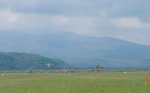 DSC02567.jpg