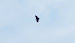 DSC02769.jpg