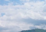 DSC02774.jpg