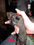 IMG_0022.jpg