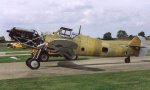 3305Br031.JPG