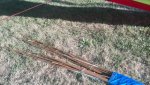 IMG_20140817_180434.jpg