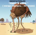 ostrich_1_.jpg