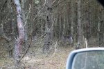 DSC00181.JPG
