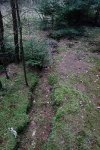DSC00190.JPG