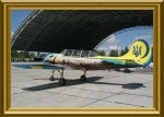 class-Yak52fr-ukr-eagle.JPG