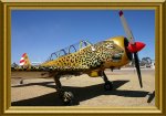 800-Yak52-tiger1a.JPG