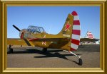 800-Yak52-tiger1b.JPG