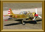 800-Yak52-tiger1c.JPG